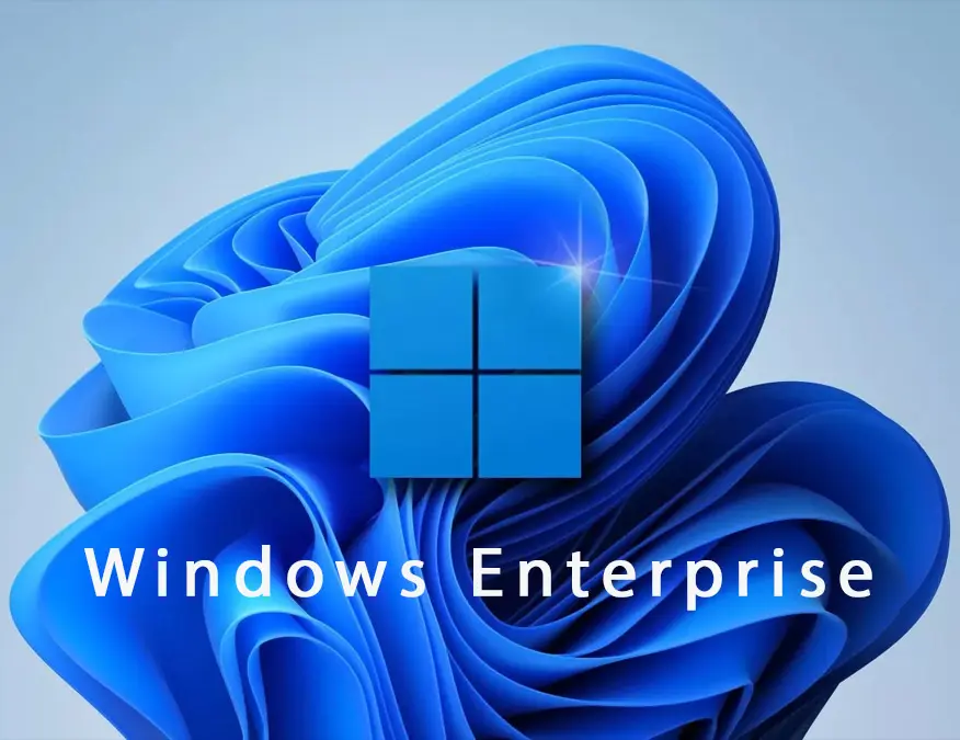 بررسی تفاوت های ویندوز Home, Pro, Education و Enterprise 3 مایکروسافت لایسنس • بررسی تفاوت های ویندوز Home, Pro, Education و Enterprise شهریور 1404